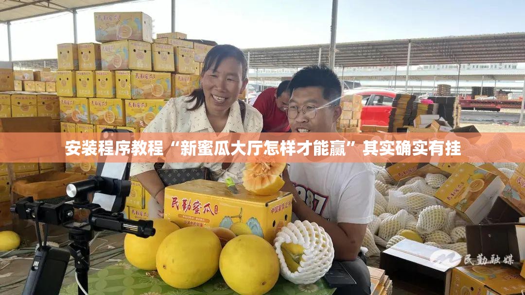 安装程序教程“新蜜瓜大厅怎样才能赢”其实确实有挂