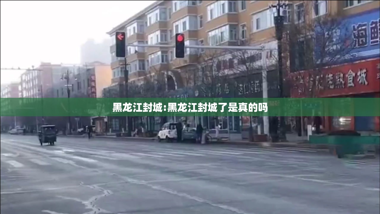 黑龙江封城:黑龙江封城了是真的吗 黑龙江封城:黑龙江封城了是真的吗