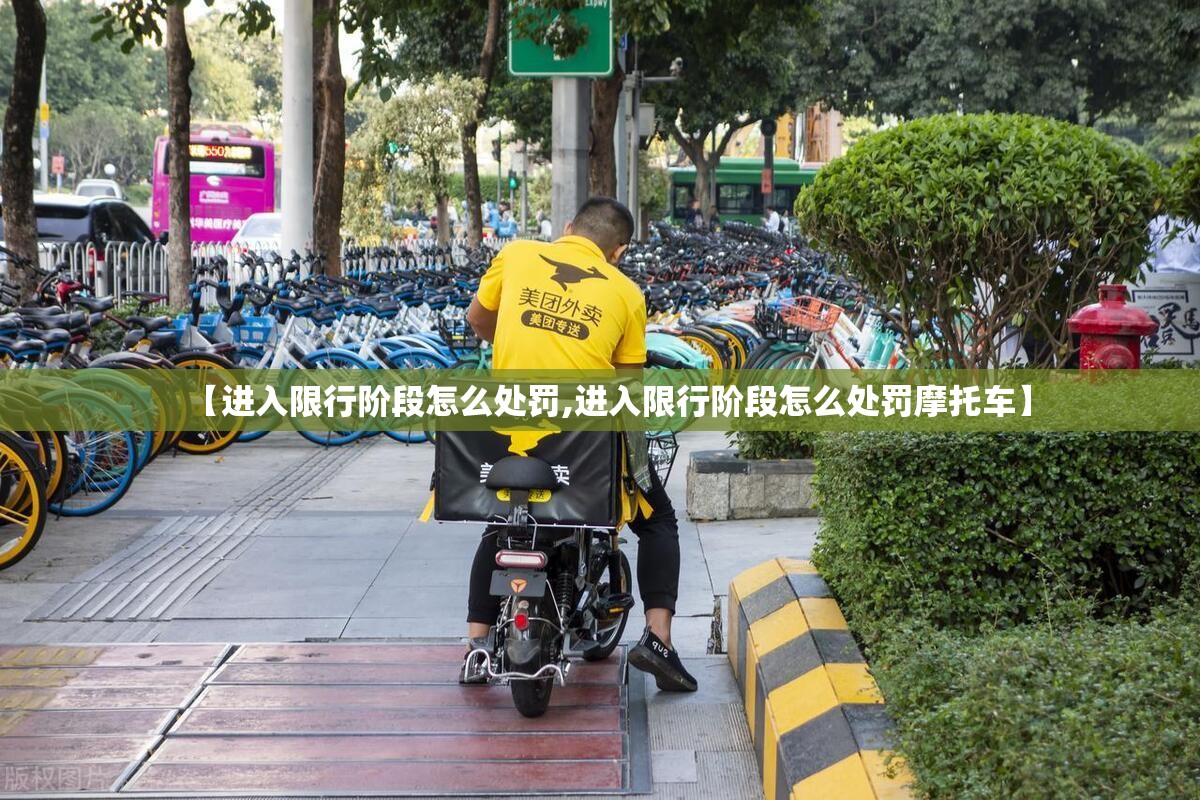 【进入限行阶段怎么处罚,进入限行阶段怎么处罚摩托车】