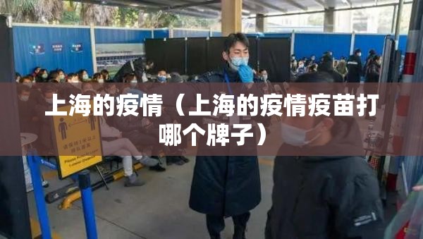上海的疫情（上海的疫情疫苗打哪个牌子）