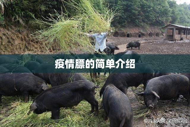 疫情膘的简单介绍 疫情膘的简单介绍