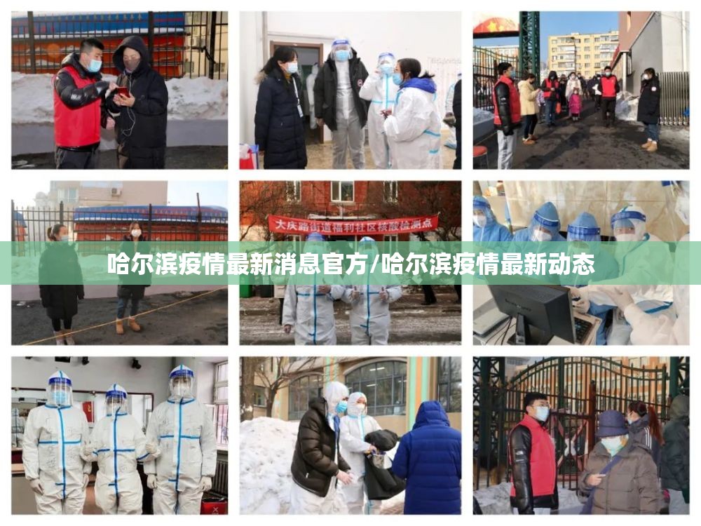 哈尔滨疫情最新消息官方/哈尔滨疫情最新动态 哈尔滨疫情最新消息官方/哈尔滨疫情最新动态