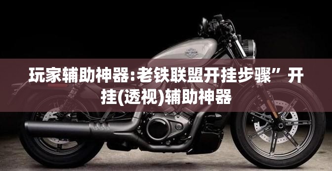 玩家辅助神器:老铁联盟开挂步骤”开挂(透视)辅助神器