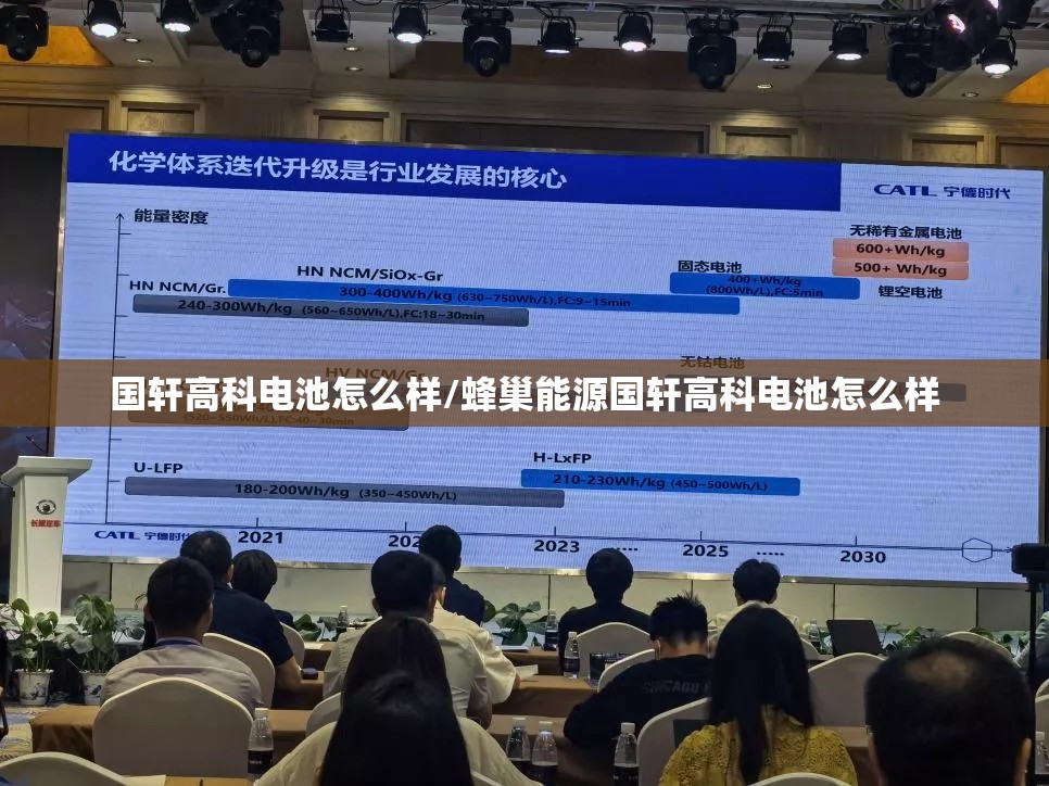 国轩高科电池怎么样/蜂巢能源国轩高科电池怎么样 国轩高科电池怎么样/蜂巢能源国轩高科电池怎么样