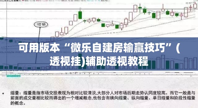 可用版本“微乐自建房输赢技巧	”(透视挂)辅助透视教程