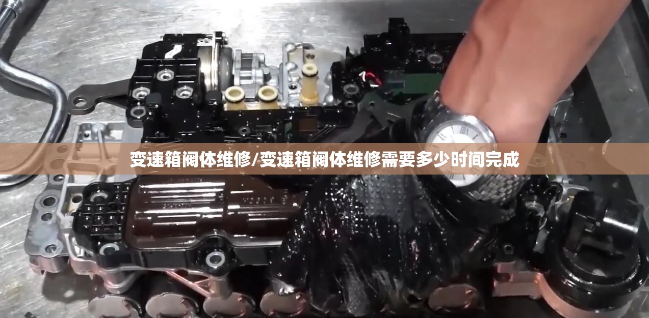变速箱阀体维修/变速箱阀体维修需要多少时间完成 变速箱阀体维修/变速箱阀体维修需要多少时间完成