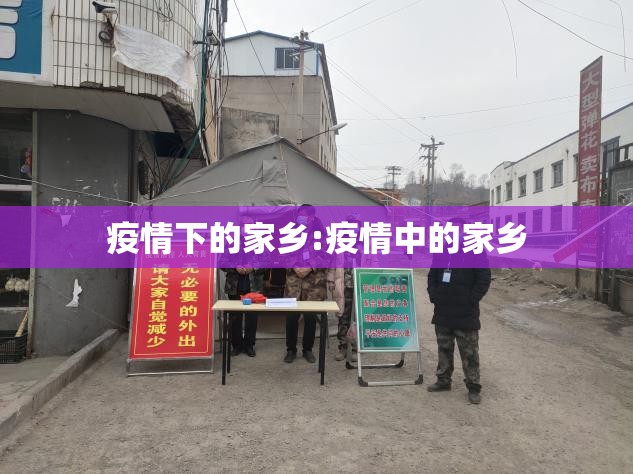 疫情下的家乡:疫情中的家乡 疫情下的家乡:疫情中的家乡
