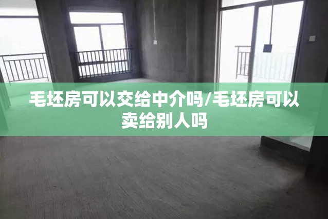 毛坯房可以交给中介吗/毛坯房可以卖给别人吗