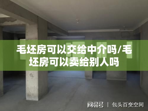 毛坯房可以交给中介吗/毛坯房可以卖给别人吗