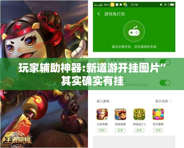 玩家辅助神器:新道游开挂图片”其实确实有挂