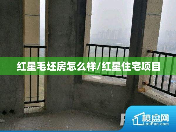 红星毛坯房怎么样/红星住宅项目 红星毛坯房怎么样/红星住宅项目
