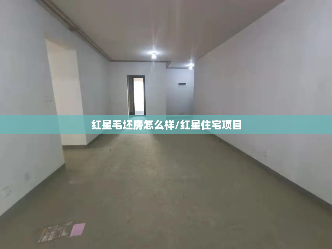 红星毛坯房怎么样/红星住宅项目 红星毛坯房怎么样/红星住宅项目