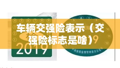 车辆交强险表示（交强险标志是啥）