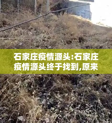 石家庄疫情源头:石家庄疫情源头终于找到,原来是他