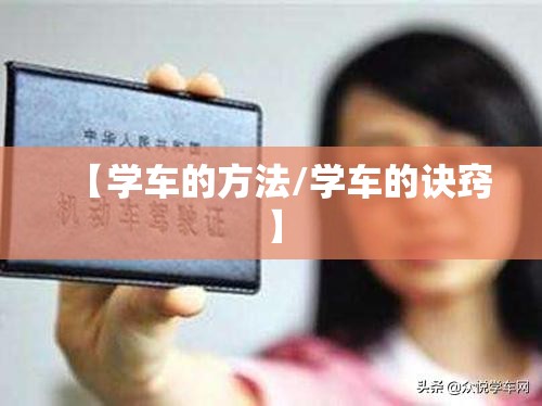 【学车的方法/学车的诀窍】