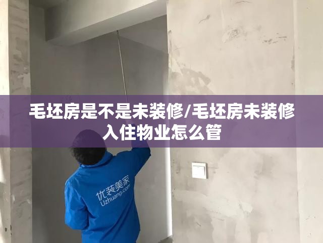 毛坯房是不是未装修/毛坯房未装修入住物业怎么管