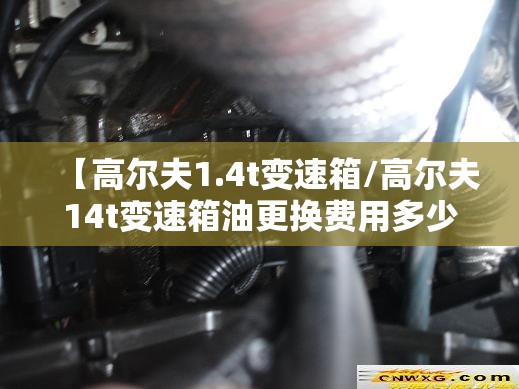 【高尔夫1.4t变速箱/高尔夫14t变速箱油更换费用多少】 【高尔夫1.4t变速箱/高尔夫14t变速箱油更换费用多少】