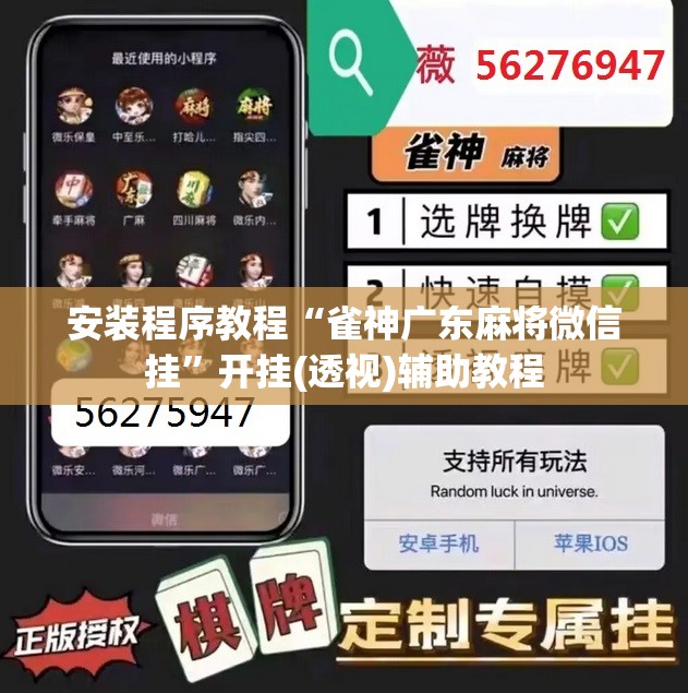 安装程序教程“雀神广东麻将微信挂”开挂(透视)辅助教程