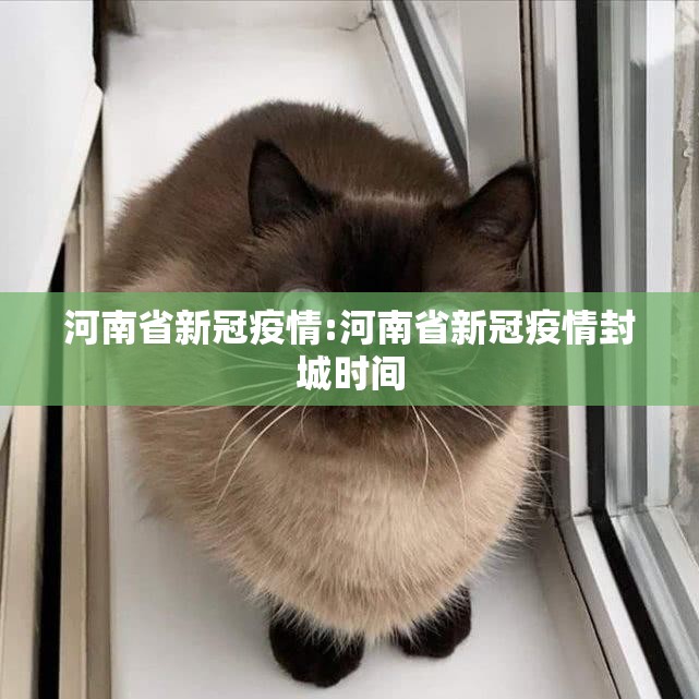 河南省新冠疫情:河南省新冠疫情封城时间 河南省新冠疫情:河南省新冠疫情封城时间