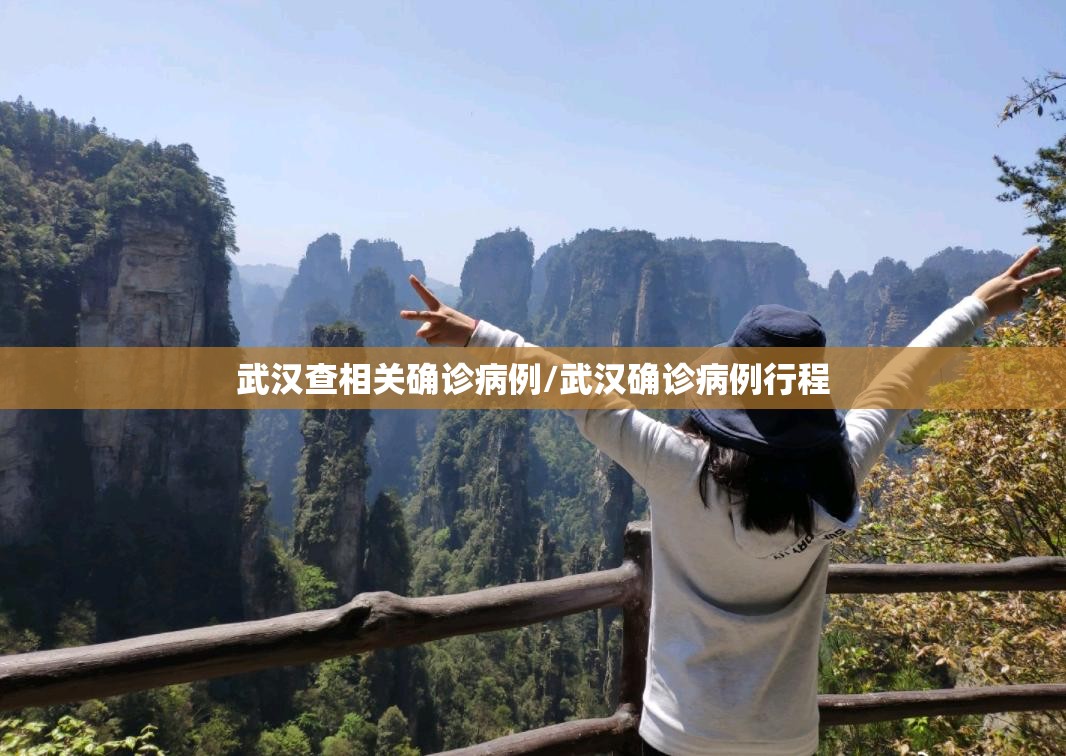 武汉查相关确诊病例/武汉确诊病例行程