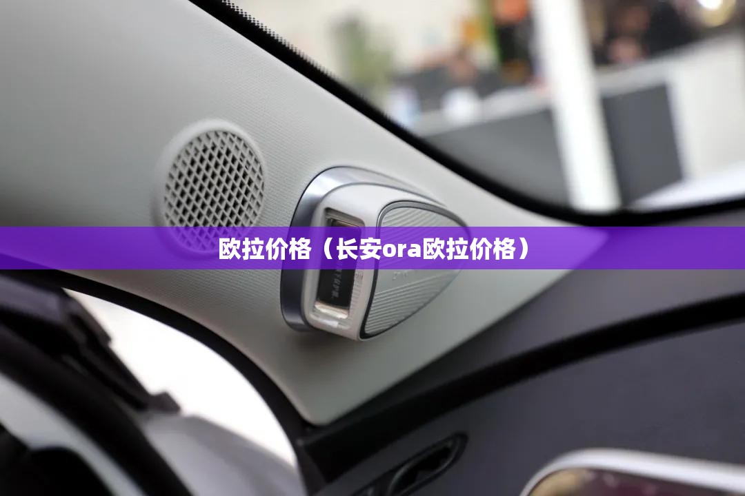 欧拉价格(长安ora欧拉价格) 欧拉价格(长安ora欧拉价格)