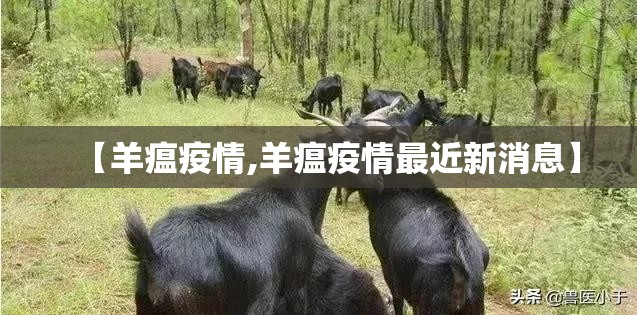 【羊瘟疫情,羊瘟疫情最近新消息】 【羊瘟疫情,羊瘟疫情最近新消息】
