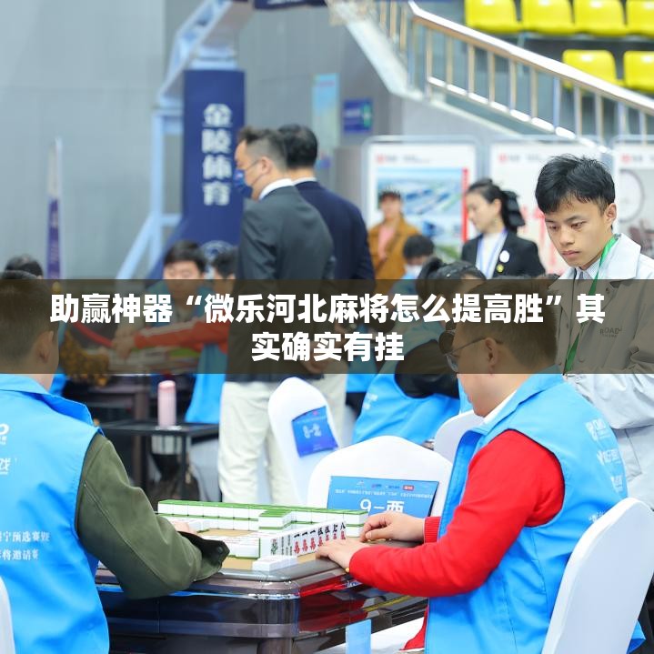 助赢神器“微乐河北麻将怎么提高胜”其实确实有挂