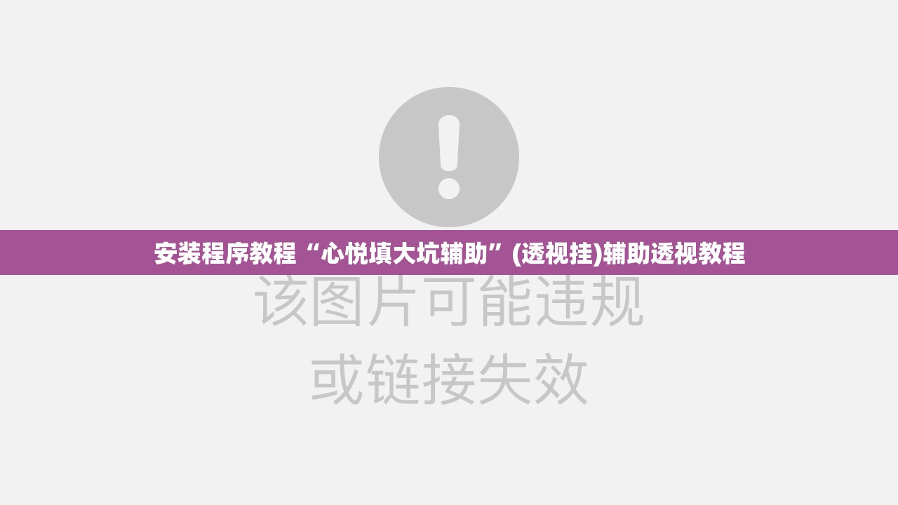 安装程序教程“心悦填大坑辅助”(透视挂)辅助透视教程