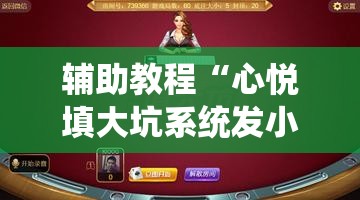 辅助教程“心悦填大坑系统发小牌的解决方法”分享装挂详细步骤