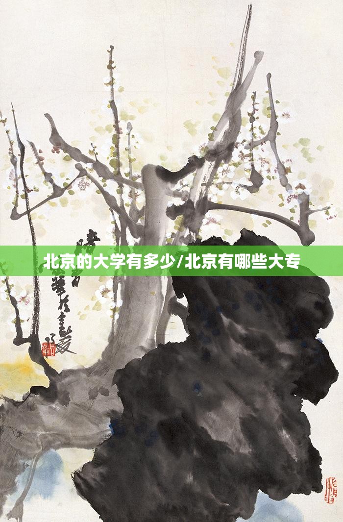 北京的大学有多少/北京有哪些大专 北京的大学有多少/北京有哪些大专