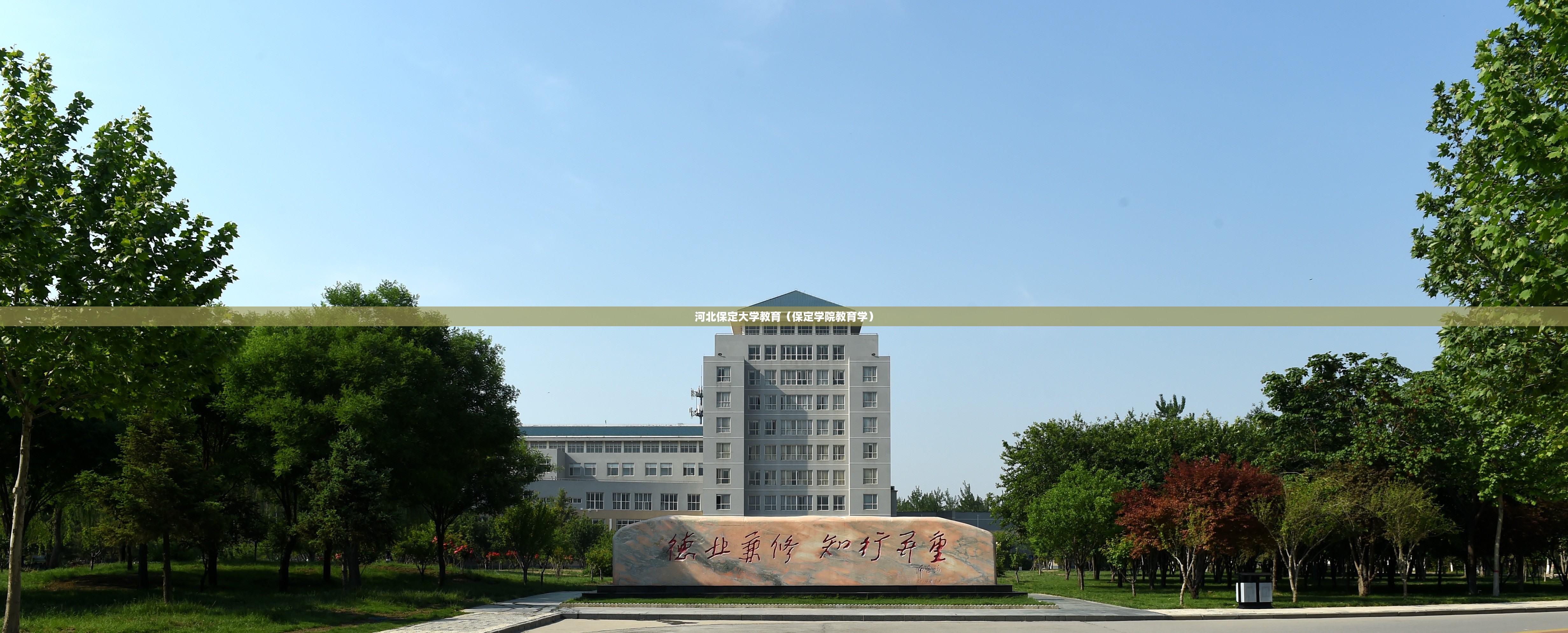 河北保定大学教育（保定学院教育学）