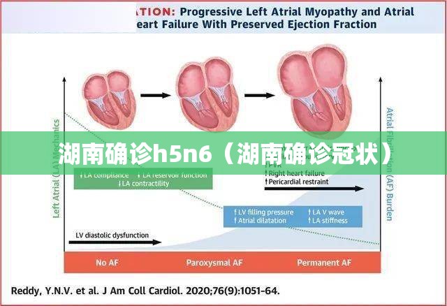 湖南确诊h5n6(湖南确诊冠状) 湖南确诊h5n6(湖南确诊冠状)