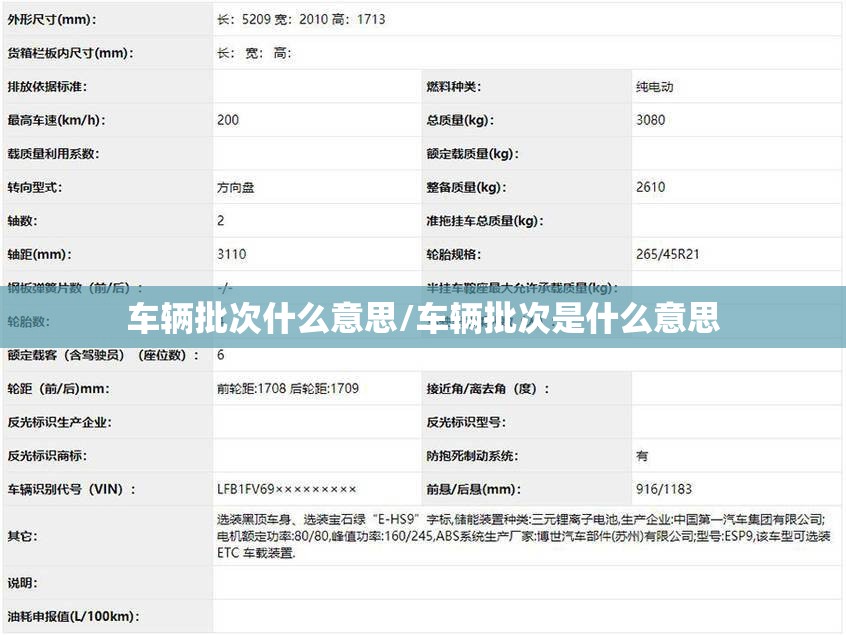 车辆批次什么意思/车辆批次是什么意思