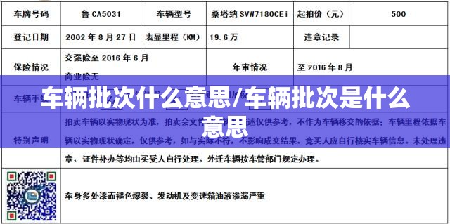 车辆批次什么意思/车辆批次是什么意思