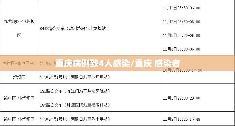 重庆病例致4人感染/重庆 感染者 重庆病例致4人感染/重庆 感染者