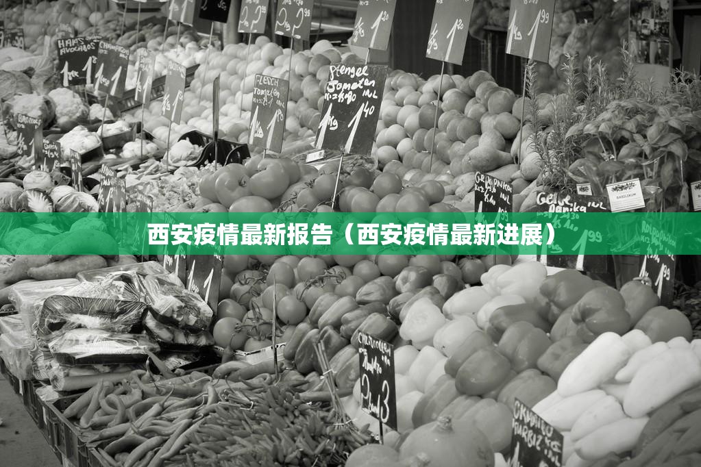 西安疫情最新报告(西安疫情最新进展) 西安疫情最新报告(西安疫情最新进展)