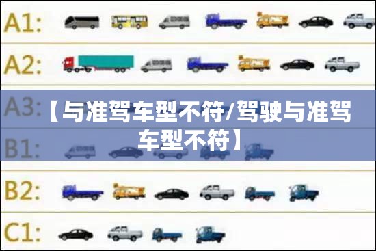 【与准驾车型不符/驾驶与准驾车型不符】 【与准驾车型不符/驾驶与准驾车型不符】