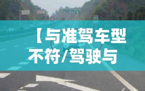 【与准驾车型不符/驾驶与准驾车型不符】 【与准驾车型不符/驾驶与准驾车型不符】