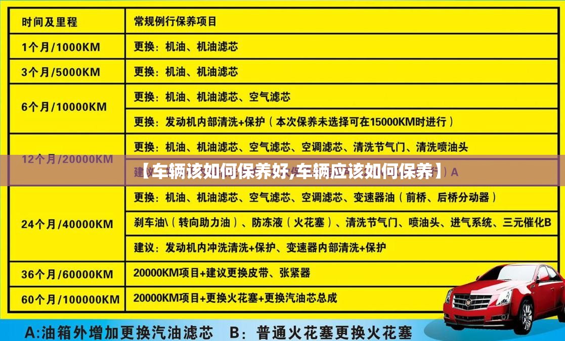 【车辆该如何保养好,车辆应该如何保养】