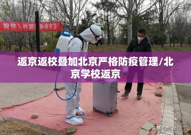 返京返校叠加北京严格防疫管理/北京学校返京 返京返校叠加北京严格防疫管理/北京学校返京