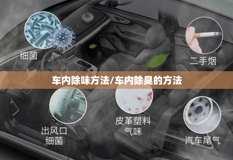 车内除味方法/车内除臭的方法 车内除味方法/车内除臭的方法