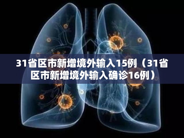 31省区市新增境外输入15例（31省区市新增境外输入确诊16例）