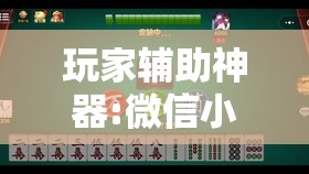 玩家辅助神器:微信小程序微乐麻将开挂神器下载”分享装挂详细步骤