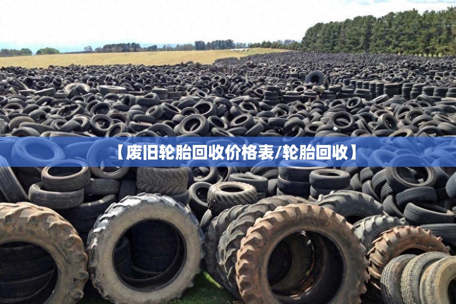 【废旧轮胎回收价格表/轮胎回收】