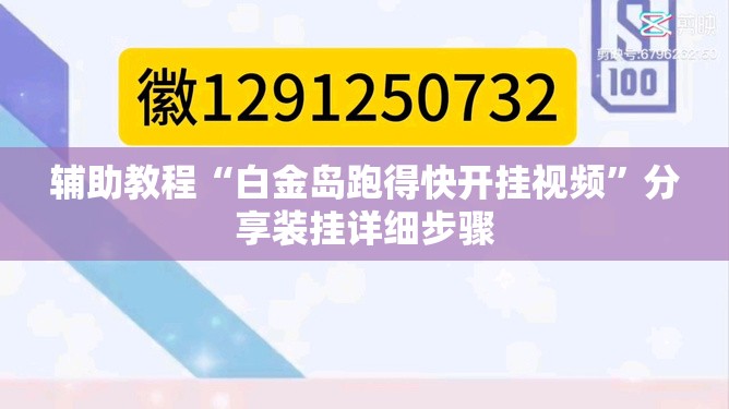 辅助教程“白金岛跑得快开挂视频”分享装挂详细步骤