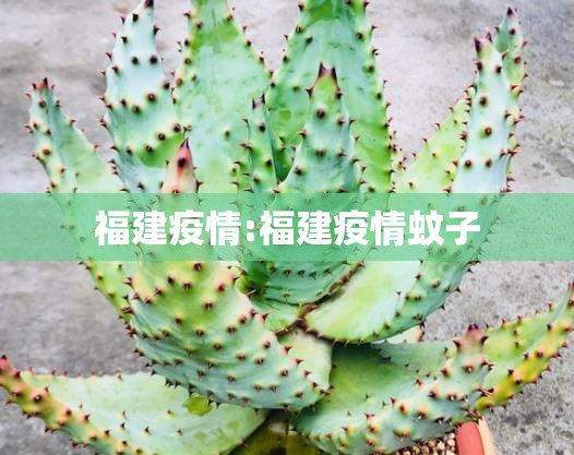 福建疫情:福建疫情蚊子 福建疫情:福建疫情蚊子