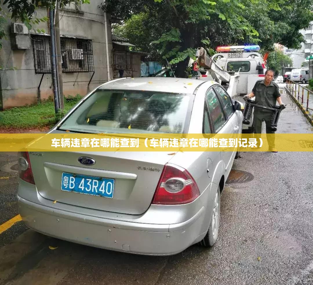 车辆违章在哪能查到(车辆违章在哪能查到记录) 车辆违章在哪能查到(车辆违章在哪能查到记录)