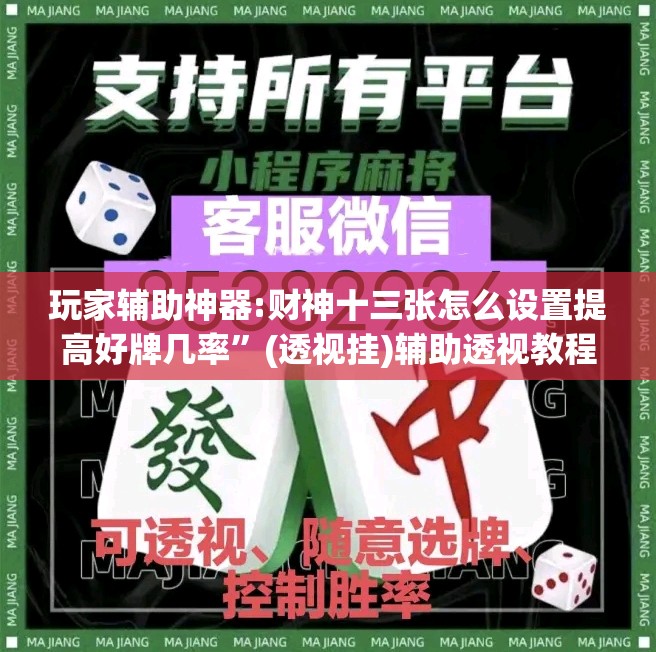 玩家辅助神器:财神十三张怎么设置提高好牌几率”(透视挂)辅助透视教程