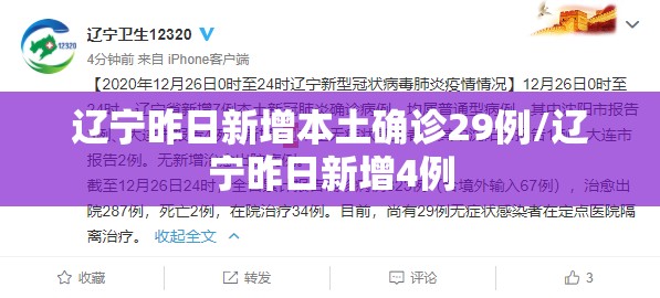 辽宁昨日新增本土确诊29例/辽宁昨日新增4例 辽宁昨日新增本土确诊29例/辽宁昨日新增4例