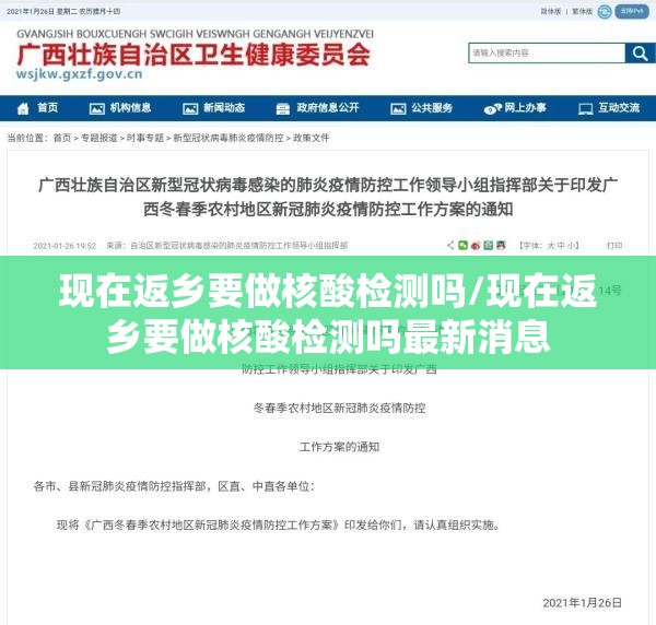 现在返乡要做核酸检测吗/现在返乡要做核酸检测吗最新消息 现在返乡要做核酸检测吗/现在返乡要做核酸检测吗最新消息